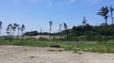 20160712_123248.jpgのサムネイル画像のサムネイル画像