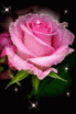 0f850fba0aced026357cca14c3afc50b[1].gifのサムネイル画像